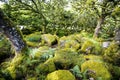 Aspects of Wistman`s Wood - an ancient landscape on Dartmoor, Devon, England Royalty Free Stock Photo