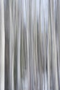 ICM Aspen Stems