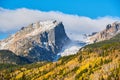 Aspen grove at autumn in Rocky Mountains