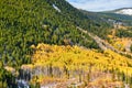 Aspen grove at autumn in Rocky Mountains Royalty Free Stock Photo