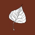 Aspen leaf editable icon, sketch hand drawn style illustration. Ready for coloring pages. Vector Royalty Free Stock Photo