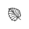 Aspen leaf line icon