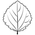 aspen leaf vector black and white Royalty Free Stock Photo