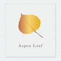 Aspen leaf. Vector illustration decorative design Royalty Free Stock Photo