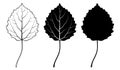 Aspen leaf. Vector illustration. Outline, silhouette, line art drawing Royalty Free Stock Photo