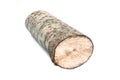 Aspen log Royalty Free Stock Photo