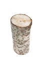 Aspen log Royalty Free Stock Photo