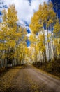 Aspen Road