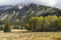 Aspen Stand and Mount Ishbel Royalty Free Stock Photo
