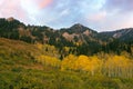 Aspen, Sunset and Mountain, Neff's Canyon, Utah Royalty Free Stock Photo