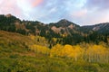 Aspen, Sunset and Mountain, Neff's Canyon, Utah