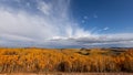 Aspen trees in autumn time at Monte Cristo overlook in Utah Royalty Free Stock Photo