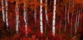 Aspen Trees in Fall with Colors Lush Forest Birch Royalty Free Stock Photo