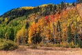 Fall colors in the San Juan Mountains near Durango, Colorado