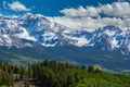 Aspen trees in high mountains in Telluride, Colorado, in summer Royalty Free Stock Photo