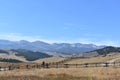 Autumn foliage in the Big Horn Mountains, WY