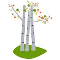 Aspen trees. Tree illustration, Autumn tree Royalty Free Stock Photo