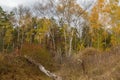 Aspens, birches and other trees in autumn forest on hillside Royalty Free Stock Photo