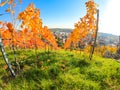 View of the city of Asperg through vineyards Royalty Free Stock Photo
