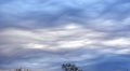 Asperitas Clouds Royalty Free Stock Photo