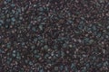 Asphalt background Texture