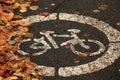 Asphalt bicycle city autumn