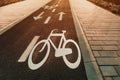 Asphalt bicycle lane with symbol of a bike and direction arrow