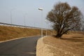 Asphalt bicycle path with tree on background