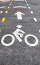 Asphalt bike lane in New York City, focus on the biker symbol, USA Royalty Free Stock Photo