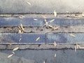 Asphalt and cement with metal drain or grate with leaves Royalty Free Stock Photo