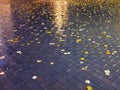 Wet asphalt city night raindrops water reflection autumn leaves fall season street evening light blurred city night road backgr