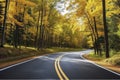 Asphalt concrete road with fallen leaves in autumn forest