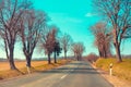 Asphalt country road in early spring