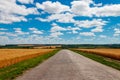 Asphalt country road through golden wheat fields and blue sky with white clouds Royalty Free Stock Photo