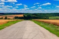 Asphalt country road through golden wheat fields and blue sky with white clouds Royalty Free Stock Photo