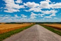 Asphalt country road through golden wheat fields and blue sky with white clouds Royalty Free Stock Photo