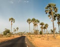 Asphalt country road leading through rural Senegal with palm trees, Senegal.