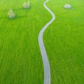 Asphalt countryside road winding through fields of green grass and trees, minimalistic aerial landscape Royalty Free Stock Photo
