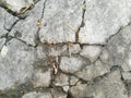 Asphalt crack Royalty Free Stock Photo