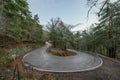 Asphalt curves and trees on a mountain road and autumn sunrise Royalty Free Stock Photo