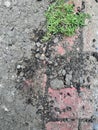 asphalt and damaged block paving road terraces