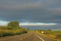 asphalt highway amidst nature