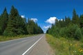 Asphalt highway surrounded by deciduous forest summer landscape Royalty Free Stock Photo