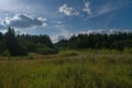 Asphalt highway surrounded by deciduous forest summer landscape. Royalty Free Stock Photo