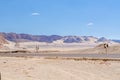 Asphalt motorway built in large desert with rocky mountains