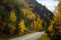 Asphalt mountain road among the yellow autumn birches and high rocks under beautiful cloudy sky Royalty Free Stock Photo