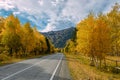 Asphalt mountain road among the yellow autumn birches and high rocks under beautiful cloudy sky Royalty Free Stock Photo