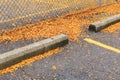 Asphalt parking lot with concrete curbs, chain link fence, thick bright yellow fall leaves