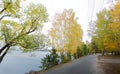 Asphalt path along lake in setting sun shining autumn forest during gold autumn season. Royalty Free Stock Photo