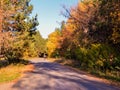 Asphalt path for jogging in the autumn park. Cyclist in the background Royalty Free Stock Photo